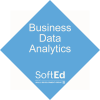 Business Data Analytics Badge