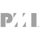 PMI logo resized