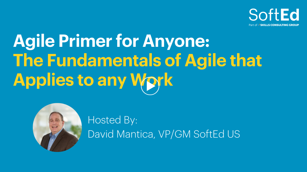 Agile Primer for Anyone: The Fundamentals of Agile that Applies to any Work