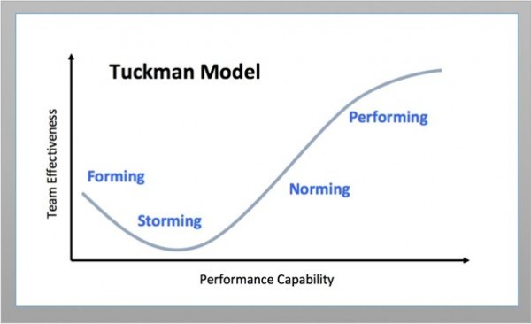 Dr Bruce Tuckman's Team Development Model