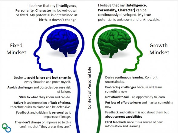 Image of the fixed and a growth mindset diagram