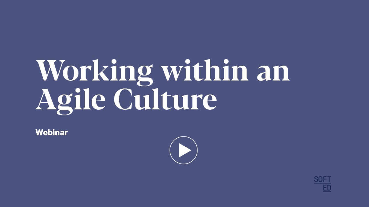 Working within an Agile Culture