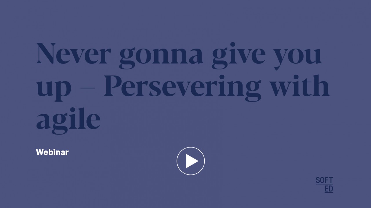 Never Gonna Give You Up - Persevering With Agile
