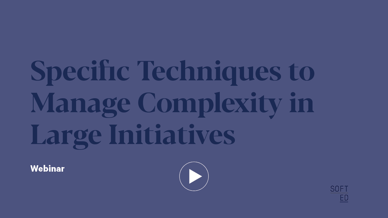 Specific Techniques to Manage Complexity in Large Initiatives