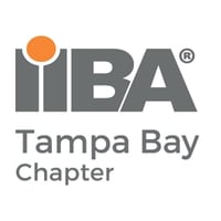 IIBA-Tampa-Bay-Chapter-1